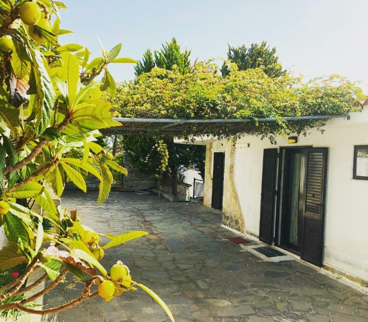 Bright & Spacious Seaview Villa 시비리 외부 사진